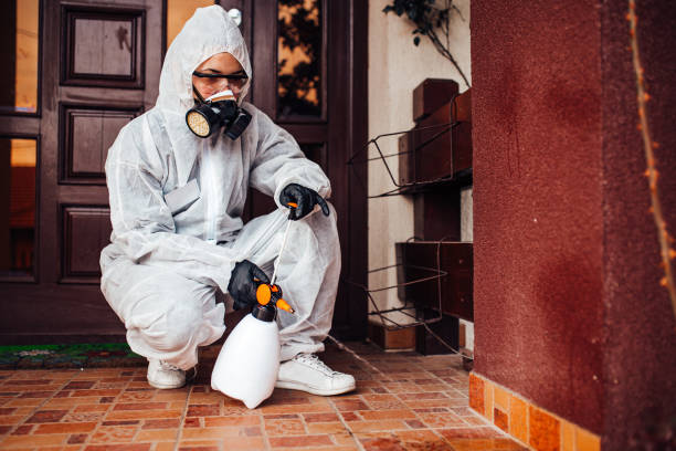 Reliable Wasp Removal contractor in Grinnell, IA by Show Me Pest Control